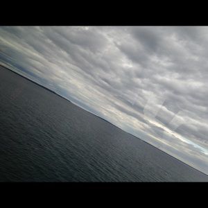 Meet your Posher, Dillion